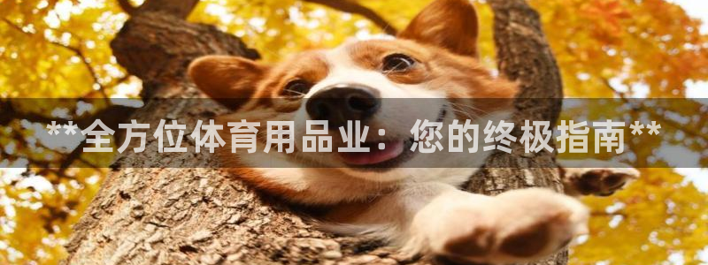 欧陆娱乐官网下载安装：**全方位体育用品业：您的终极