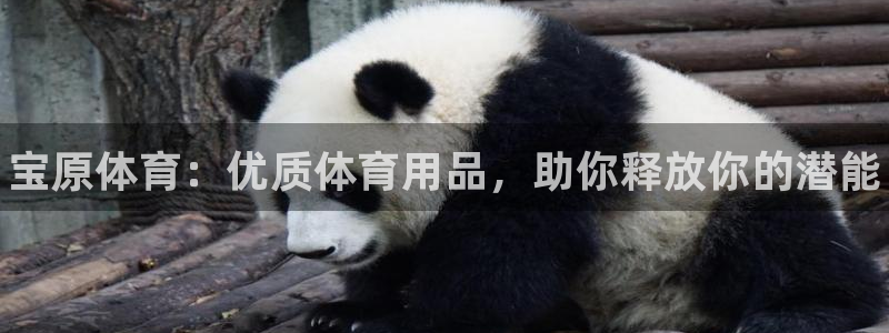 欧陆娱乐平台咋样啊赚钱：宝原体育：优质体育用品，助你