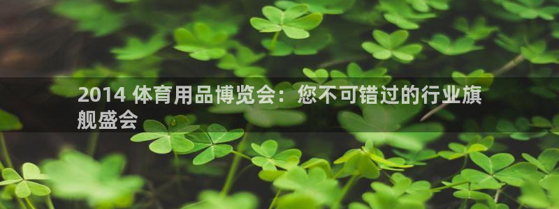 欧陆娱乐怎么注册账号：2014 体育用品博览会：您不