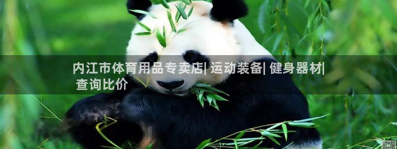 欧陆娱乐平台登陆地址是什么