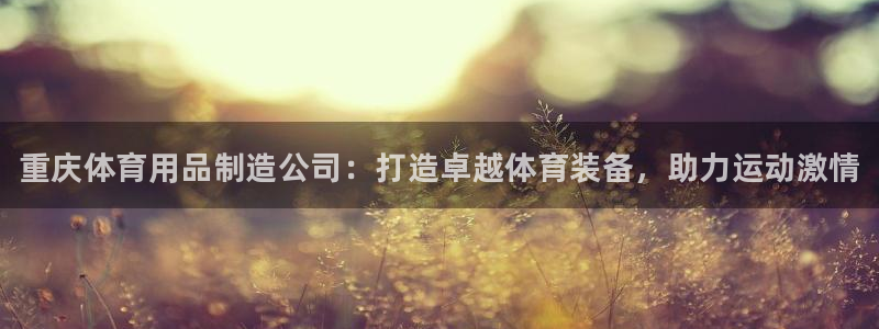 欧陆娱乐官网注册中心：重庆体育用品制造公司：打造卓越体育装备